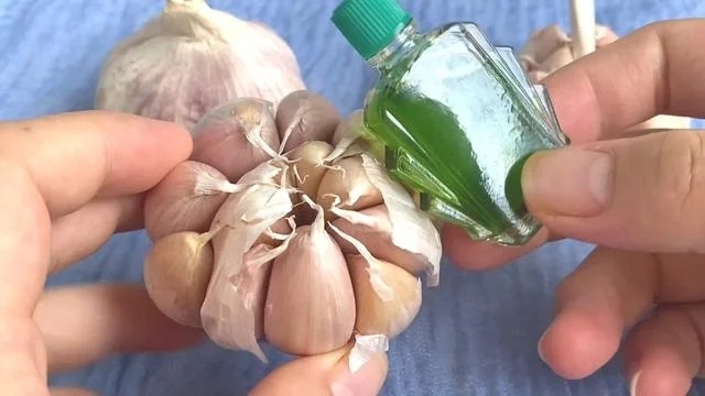 Nhỏ vài giọt dầu gió vào tỏi.