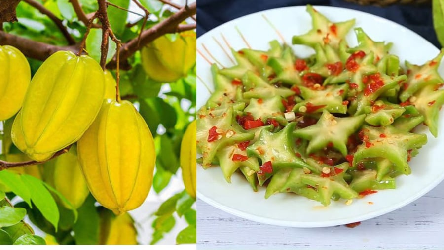Khế có loại khế chua khế ngọt với công dụng khác nhau nhưng trồng làm cảnh thì tương tự nhau