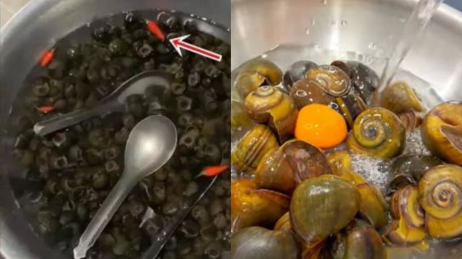 Ốc ngon hơn nhờ những mẹo hay
