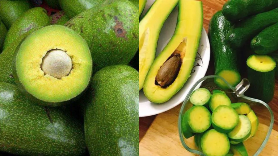 Quả bơ ngon là nghe tiếng hạt lăn trong lòng quả nhưng không quá rõ