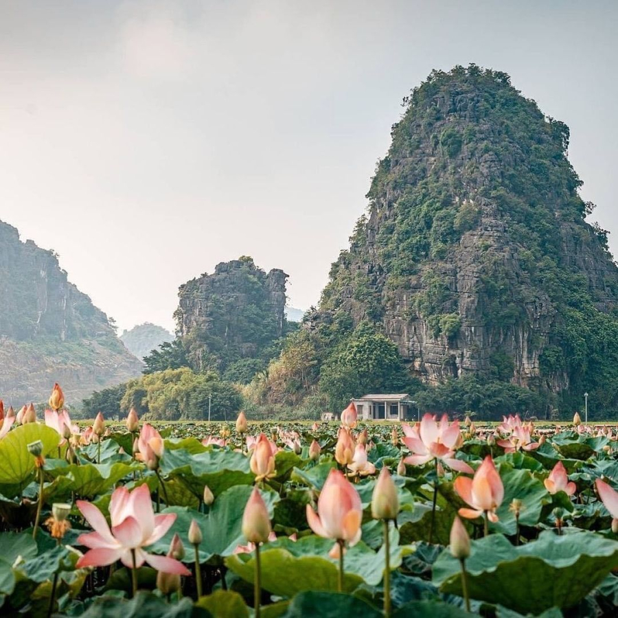Hang Múa là điểm đến hấp dẫn, thu hút hàng nghìn du khách nhờ vẻ đẹp hùng vĩ của núi non và sự yên bình của thiên nhiên xanh tươi