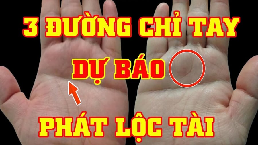 Những đường chỉ tay dự báo tài lộc