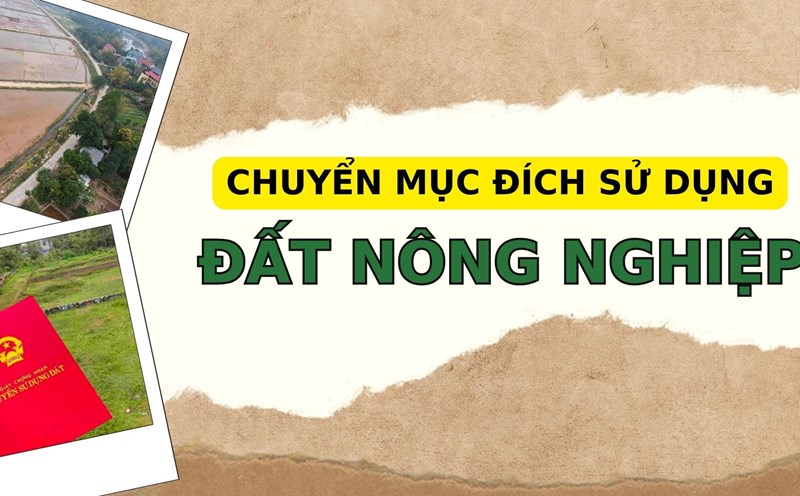 Những trường hợp chuyển mục đích sử dụng đất phải xin phép từ 01/01/2025