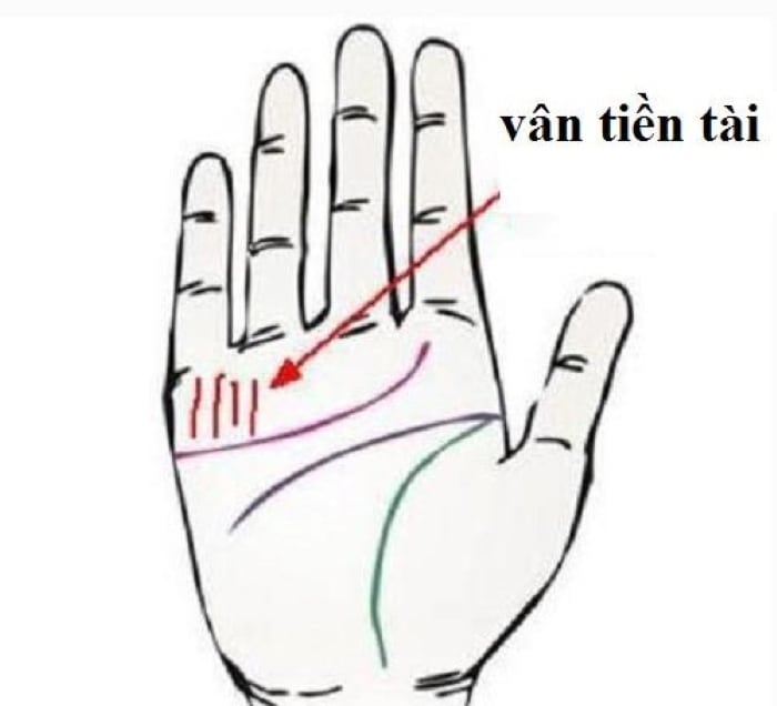Người có bán tay này có tài lộc dồi dào, hưng thịnh, gia tài lớn