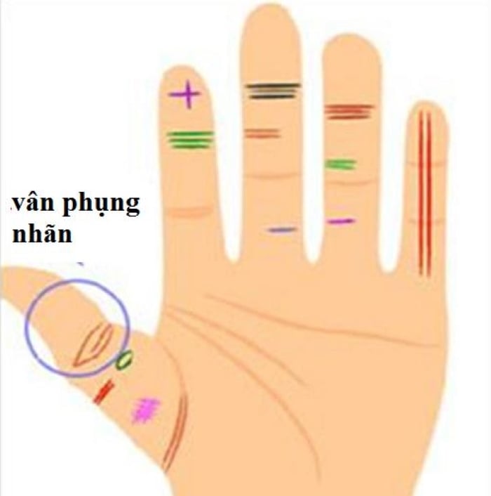 Người có tướng vân tay này là tướng người nhiều tiền hiếm có