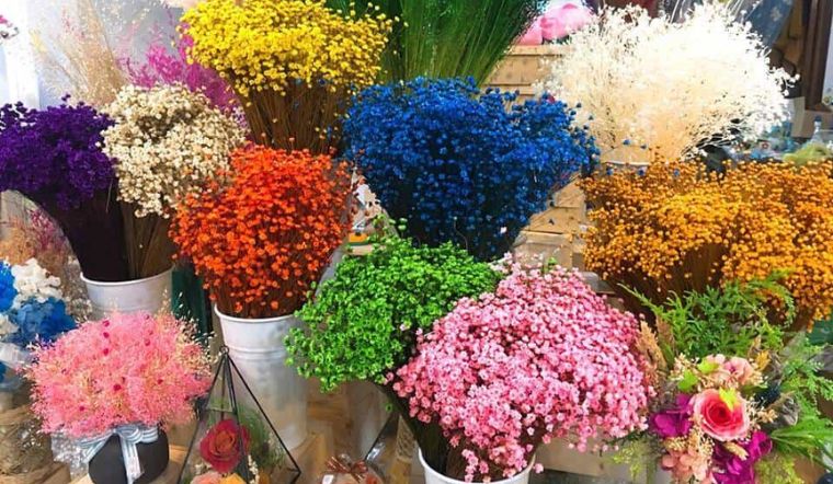 Bình hoa khô    