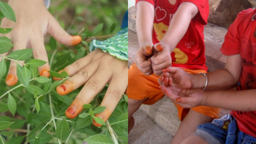 Tục nhuộm móng trừ tà ngày 5/5
