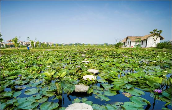 Càng ít tranh chấp thì mọi việc càng trở nên thuận lợi, tỷ lệ thành công cũng sẽ cao hơn. (ảnh minh họa)