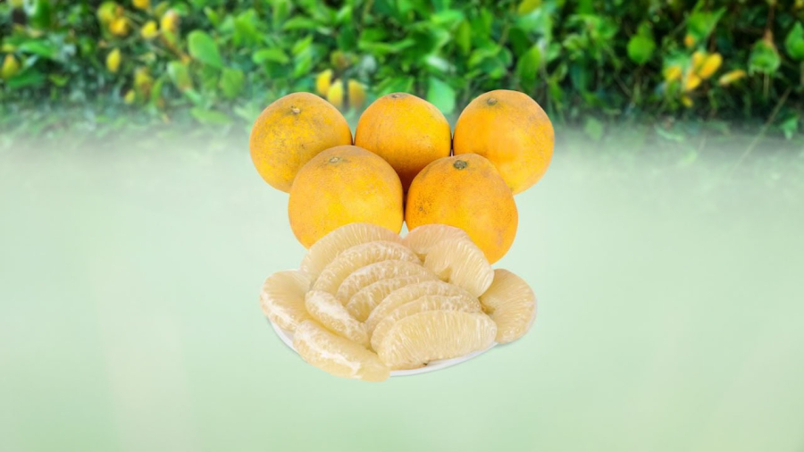 Ăn bưởi, quýt nhớ giữ lại vỏ giúp đuổi muỗi