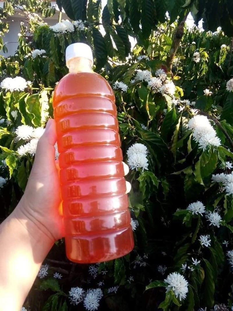 Mật ong hoa cà phê Đắk Lắk là một đặc sản hoàn toàn tự nhiên, không chứa tạp chất hay chất bảo quản