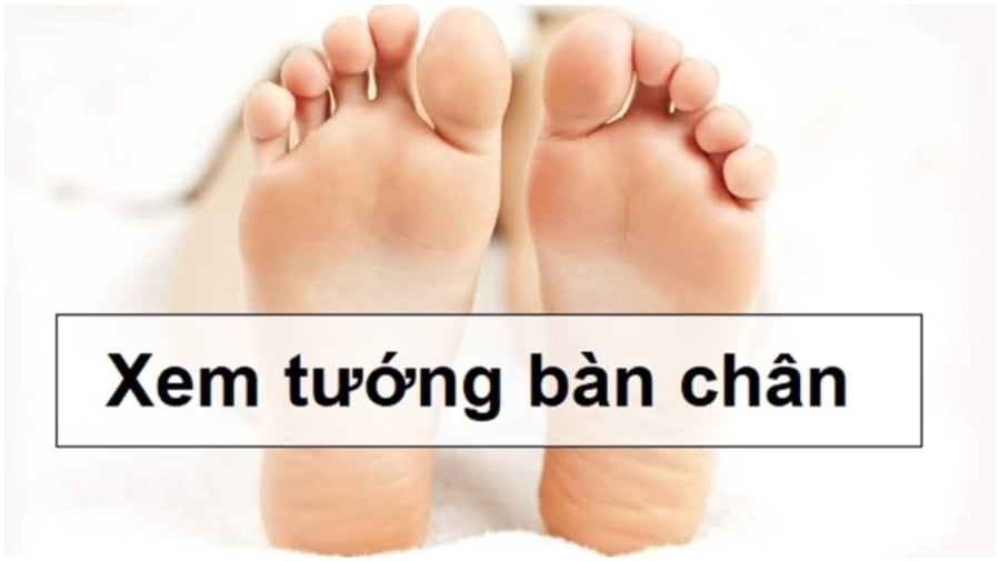 tuong chan giau co