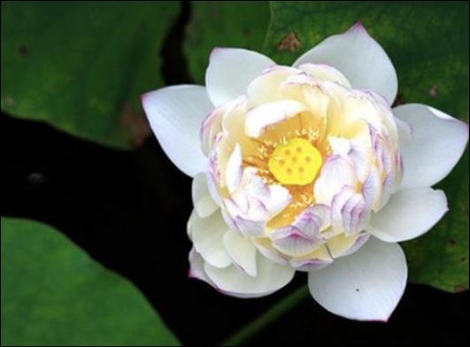   Người ta nói rằng hầu hết bi kịch trên đời đều chẳng thể tách rời tiền bạc. (ảnh minh họa)