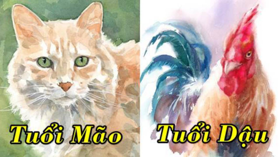 Sau Tết Đoan Ngọ, tuổi Dậu, tuổi Mão sẽ gặp nhiều may mắn
