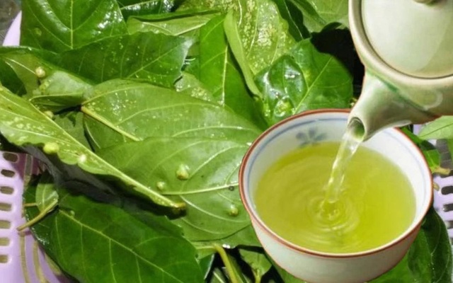 Lá sung nấu trà còn có tác dụng bảo vệ gan, thanh nhiệt Sh88bet đăng ký miễn phí, và điều trị các bệnh về gan như nóng gan và vàng da.