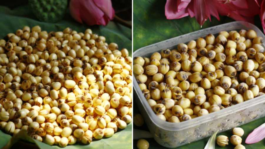 Bảo quản hạt sen trong ngăn mát tủ lạnh trong vòng 1 tuần. Nếu muốn để được lâu hơn, bạn hãy bảo quản hạt sen trong ngăn đá.