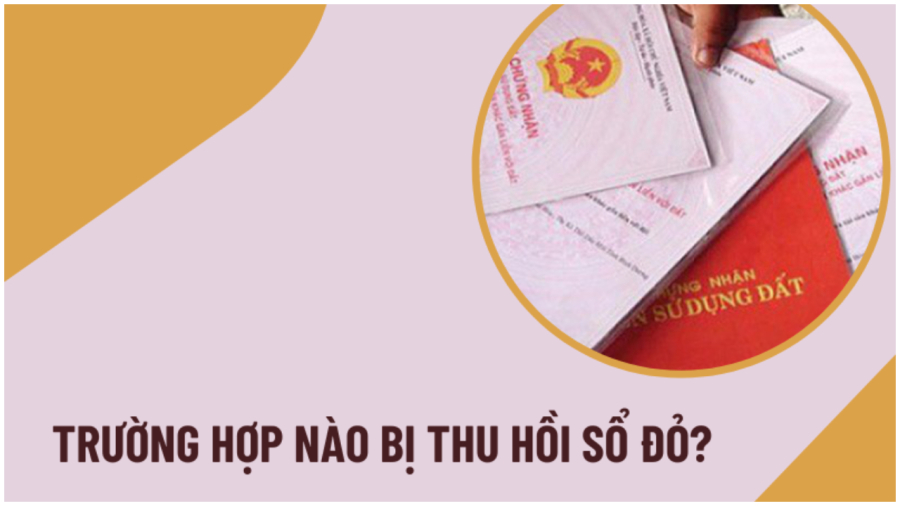 Những trường hợp bị thu hồi Link nhập code shbet https freecode shbet pages dev và đính chính
