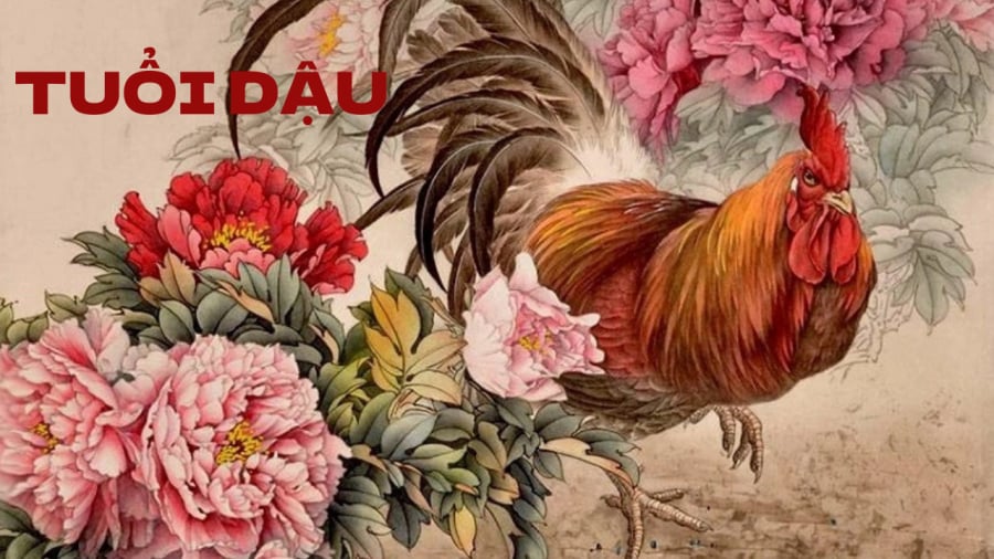 Tử vi dự báo rằng tuổi Dậu có nhiều cơ hội làm ăn hơn trong thời gian tới.