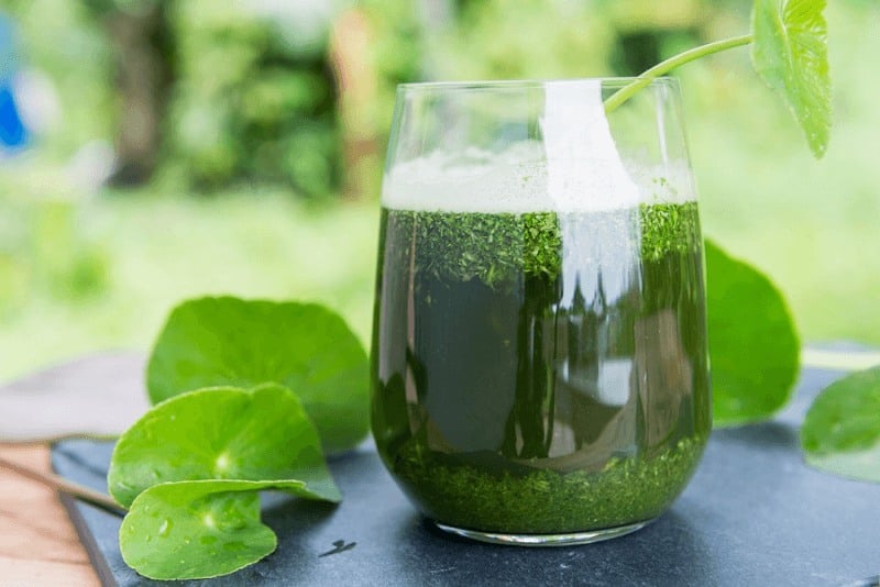 Nước ép rau má thanh lọc Sh88bet đăng ký miễn phí