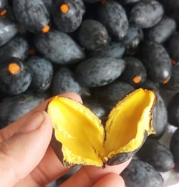 Qua quan sát, quả trám có hình thoi, với hạt nhọn ở hai đầu, khi ăn có vị bùi và ngon