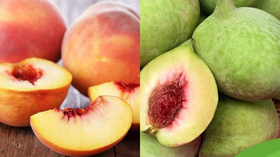Đào ngon cầm lên phải nặng tay
