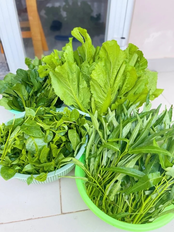 Nhận biết rau sạch là vô cùng quan trọng