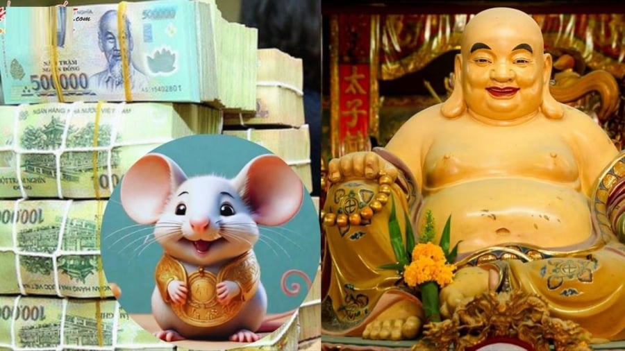 Khôn ngoan lại thận trọng, tuổi Tý tháng 6 thu tiền về, tháng 7 nhận lộc to