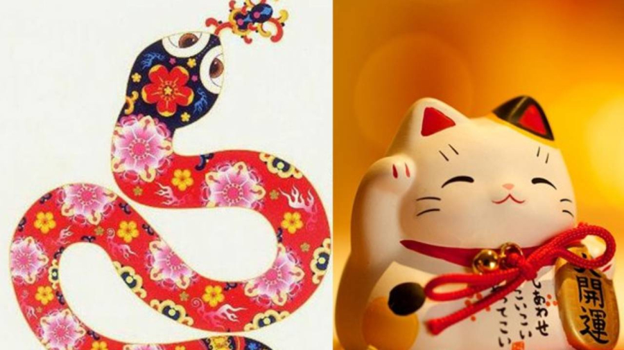 Là một trong những Shbet888.com nhà cái uy tín có vận may vào cuối năm 2024, người tuổi Mão sẽ trải qua giai đoạn 