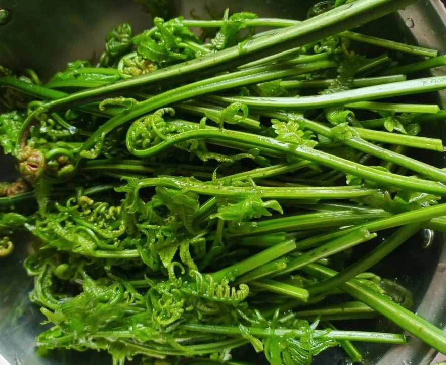 Rau Dớn Xào Thịt Xông Khói    