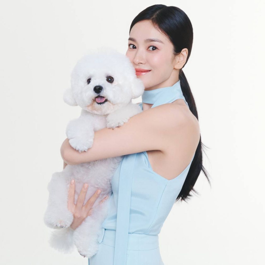 Các nàng nên chọn Link Vào SHBET88 Mới Nhất buộc thấp, được trau chuốt mượt mà. Lựa chọn năng động, tươi trẻ hơn là tóc buộc cao. 