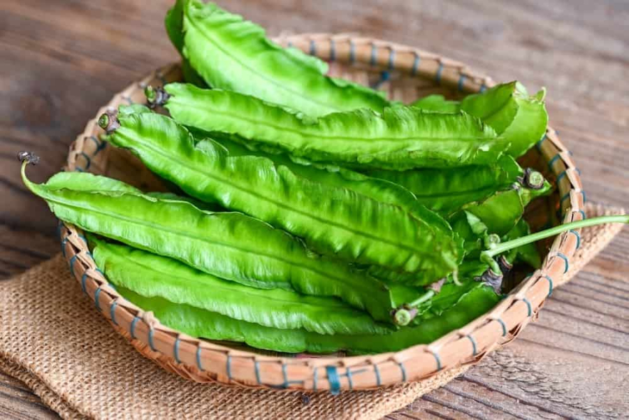 Đậu rồng chứa nhiều dưỡng chất tốt cho sức khoẻ