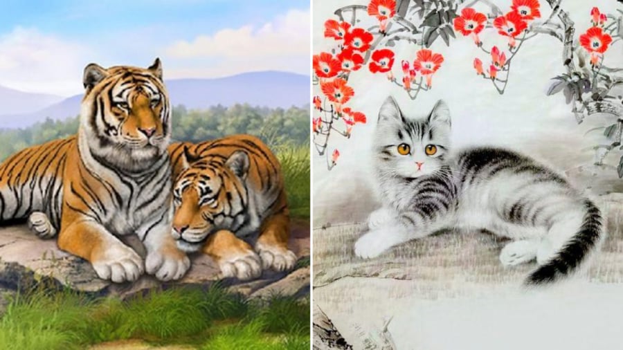 Tử vi dự báo rằng tuổi Mão vào tuổi Dần có thể đón nhận nhiều may mắn trong thời gian tới.