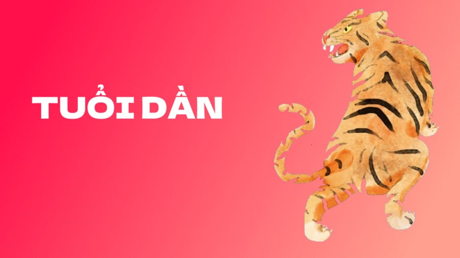 Tử vi dự báo rằng vận trình của người tuổi Dần có nhiều điểm sáng.
