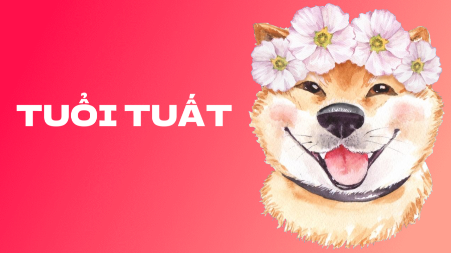 Tử vi dự báo rằng sau Rằm tháng 5 âm, người tuổi Tuất có nhiều cơ hội làm ăn thuận lợi.