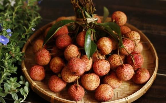 Chọn vải thiều tươi ngon là bước quan trọng để đảm bảo trái vải được giữ lâu và vẫn ngon. 