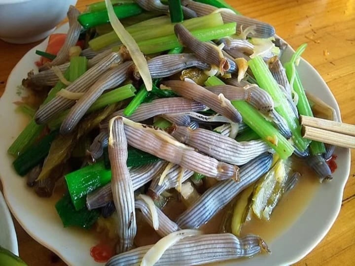 Sá sùng còn được gọi là giun biển hay sâu biển do hình dáng giống con giun