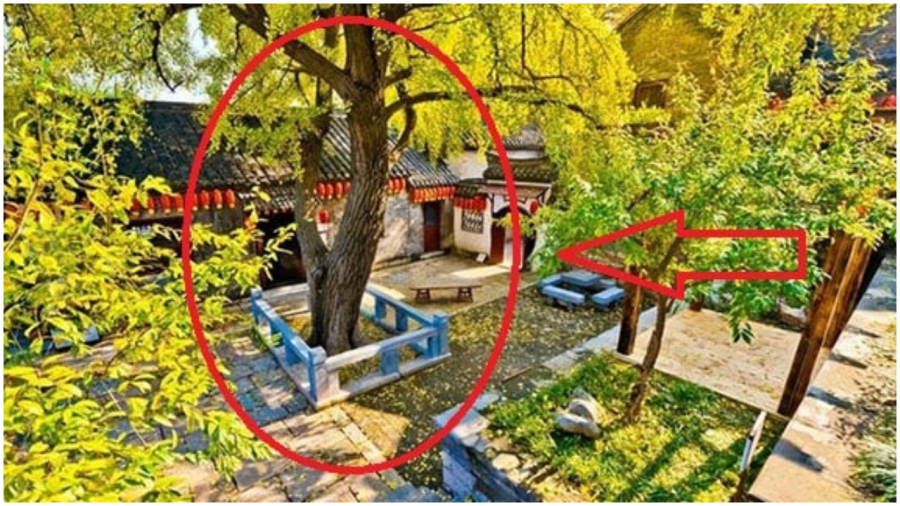 3 thứ trước nhà nghèo khổ