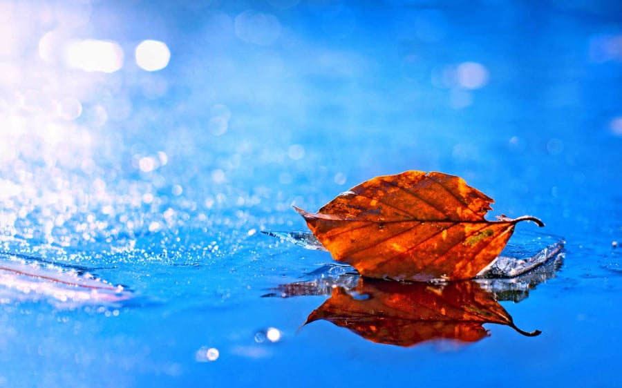 Thế giới không phải trắng đen rõ ràng, giữa trắng và đen còn tồn tại nhiều màu xám.  (ảnh minh họa)