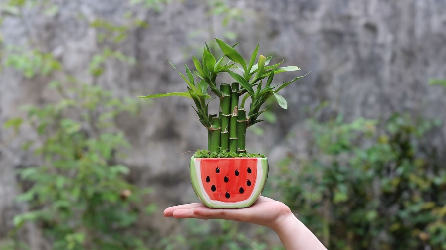 Dáng thân thẳng mang lại may mắn hơn thân vặn xoắn