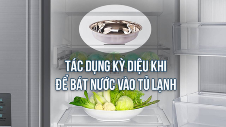Đặt bát nước vào tủ lạnh 