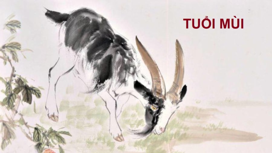Tử vi nói rằng trong những ngày cuối tháng 6, người tuổi Mùi có nhiều cơ hội làm ăn mới.