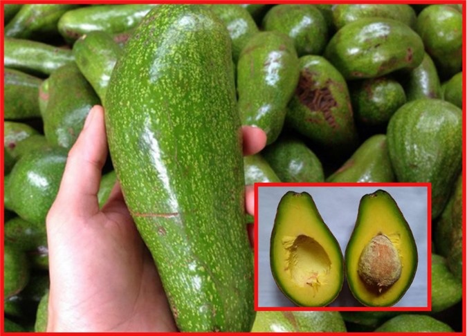 Trái bơ ngon sẽ hơi mềm, không bị nhũn. 