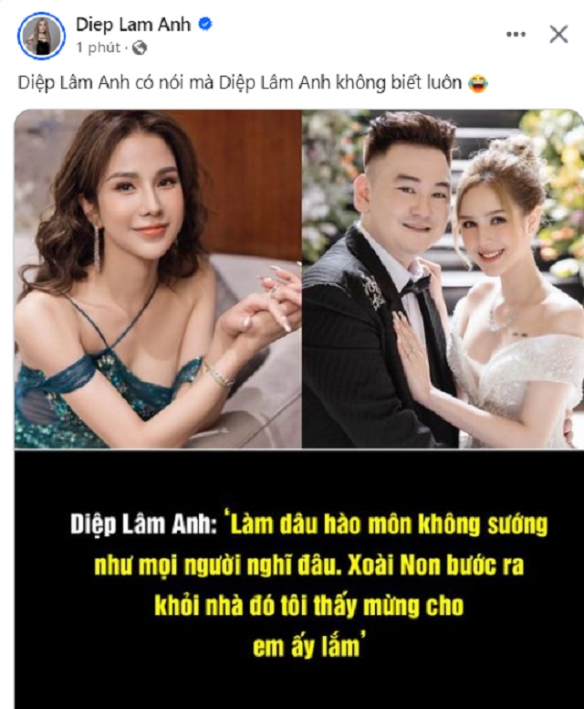 Diệp Lâm Anh đã đăng tải dòng trạng thái đính chính chuyện bị nhiều trang bịa đặt phát ngôn.  