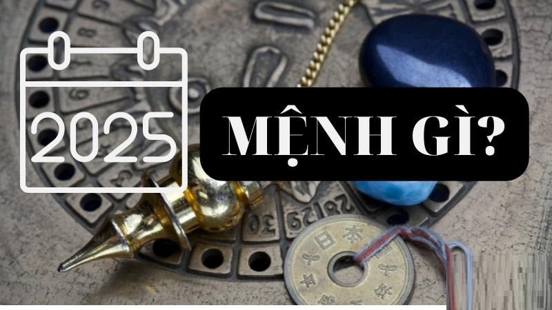 Phân tích chi tiết về các Shbet888.com nhà cái uy tín và mệnh phát tài trong năm Ất Tỵ 2025.