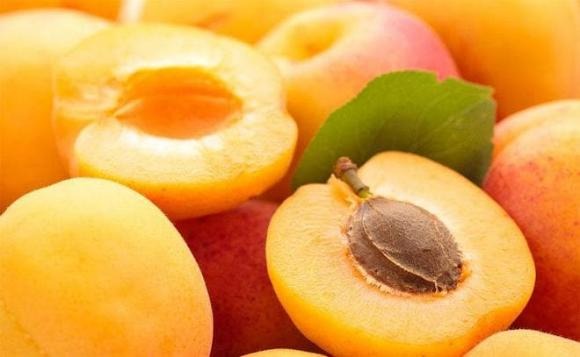 Khi chuẩn bị mơ đóng hộp, bạn nên chọn những quả mơ có vỏ cứng để giữ được ngon.