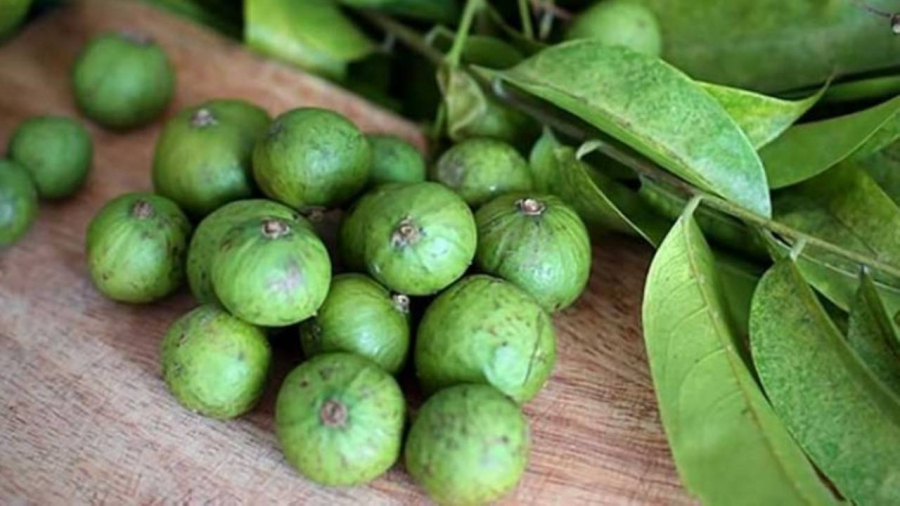 Có nhiều cách bảo quản sấu quanh năm mà vẫn thơm ngon
