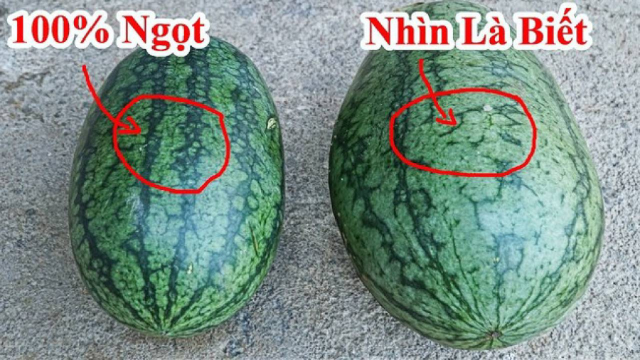 Nhận biết quả dưa hấu ngon 