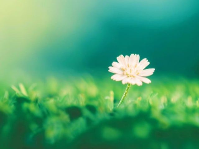 Chạy theo tiếng cười của người khác và hi sinh bản thân để được người khác công nhận, Shbet16 chơi game trực tuyến của nhiều người chẳng còn là của chính họ. (ảnh minh họa)
