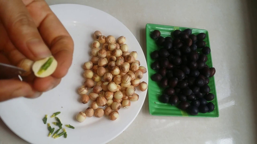 Tách bỏ tâm sen để hạt sen tươi có thể bảo quản được lâu hơn