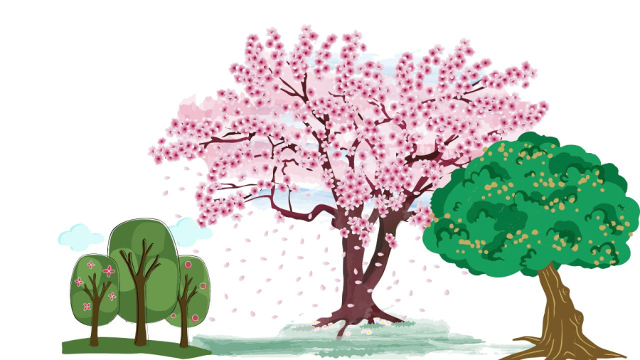Cây ra hoa kết quả báo hiệu may mắn, cây trồng lâu không ra hoa kết quả là điềm xấu