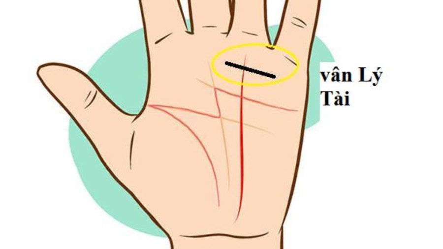 Đường vân lý tài thể hiện sự phú quý